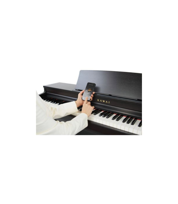 Kawai CN-201 B [2]