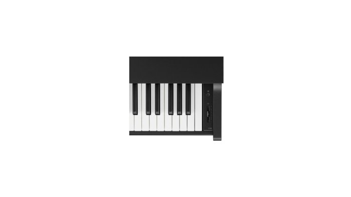 Kawai CX-102 B Set [7]