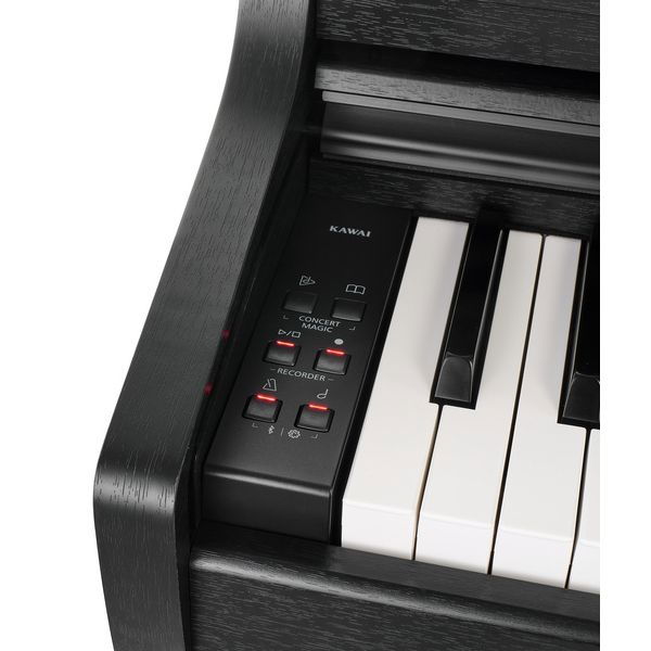 Kawai CX-202 B [10]