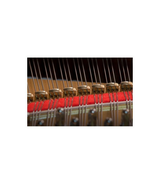 Kawai GL 10 E/P Grand Piano [6]