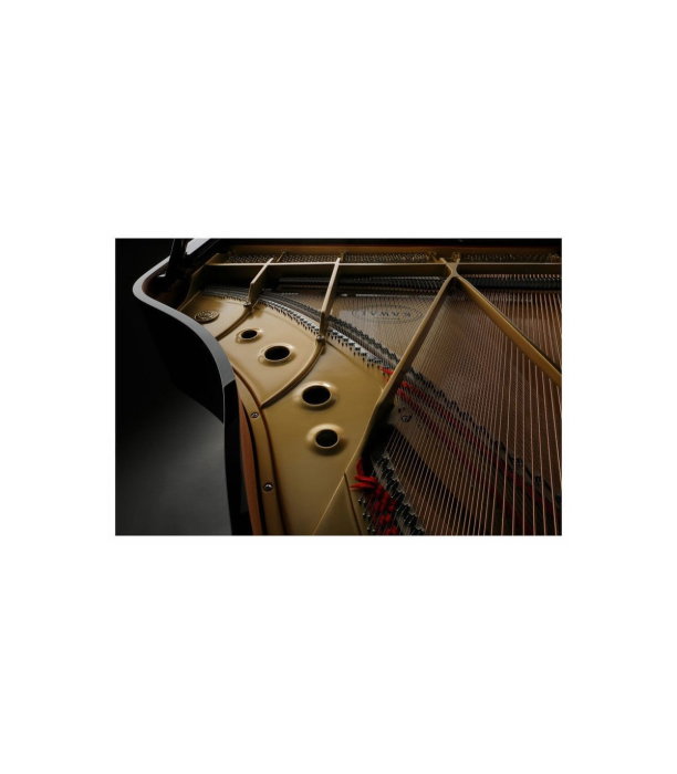 Kawai GL 10 E/P Grand Piano [4]