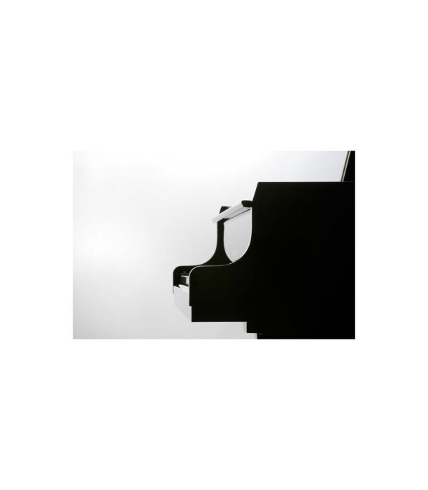 Kawai GL 10 E/P Grand Piano [2]