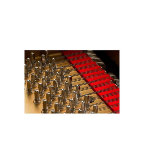Kawai GL 10 E/P Grand Piano [8]