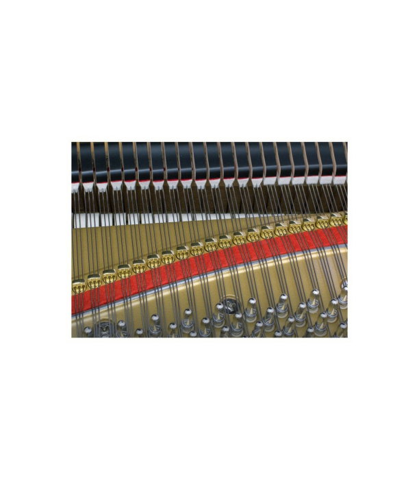 Kawai GL 10 E/P Grand Piano [7]