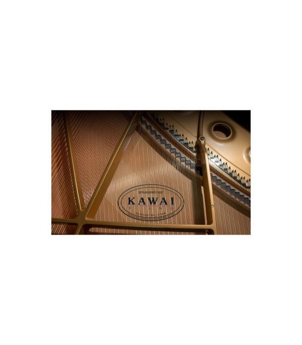 Kawai GL 10 E/P Grand Piano [9]