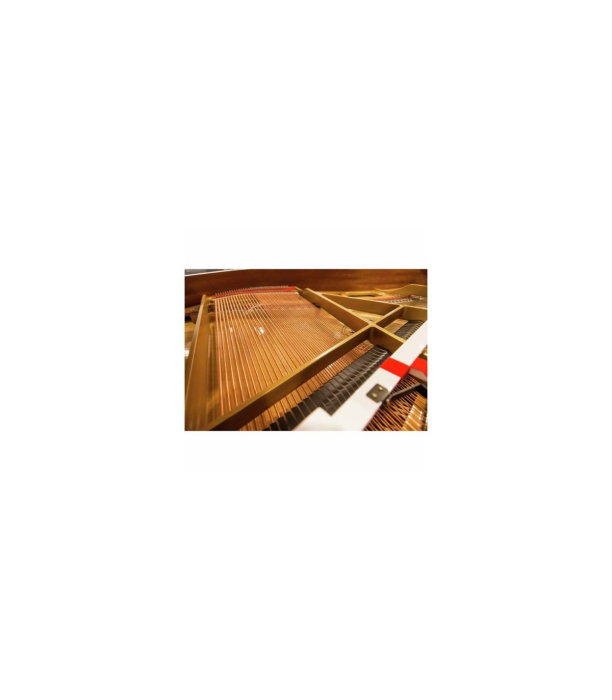 Kawai GL 10 WH/P [6]