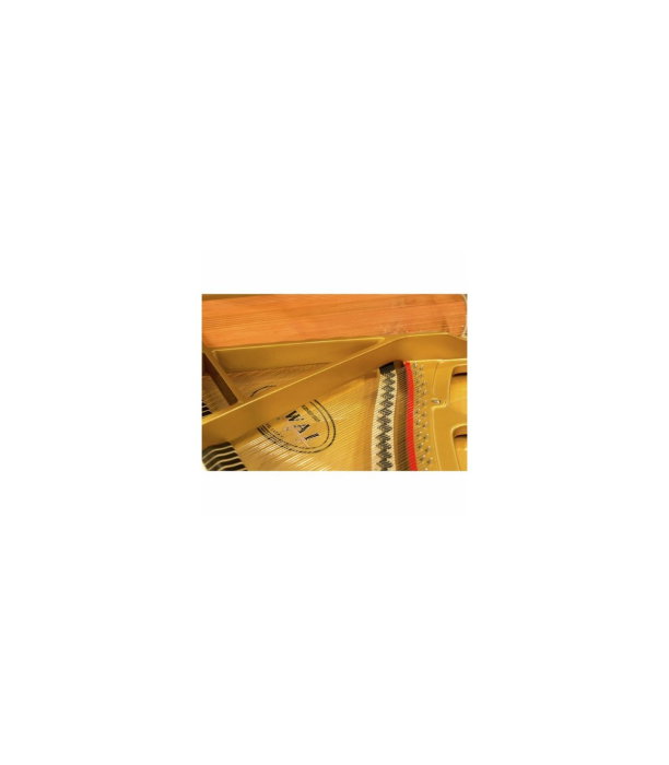 Kawai GL 10 WH/P [5]
