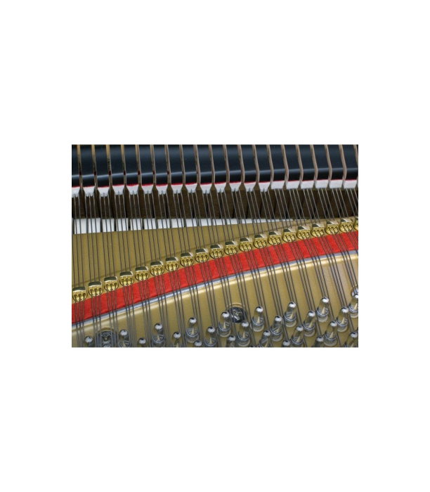 Kawai GL 30 E/P Grand Piano [10]