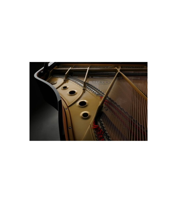 Kawai GL 30 E/P Grand Piano [8]