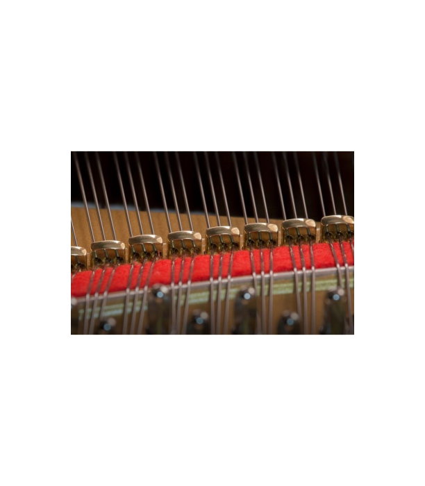 Kawai GL 30 E/P Grand Piano [4]