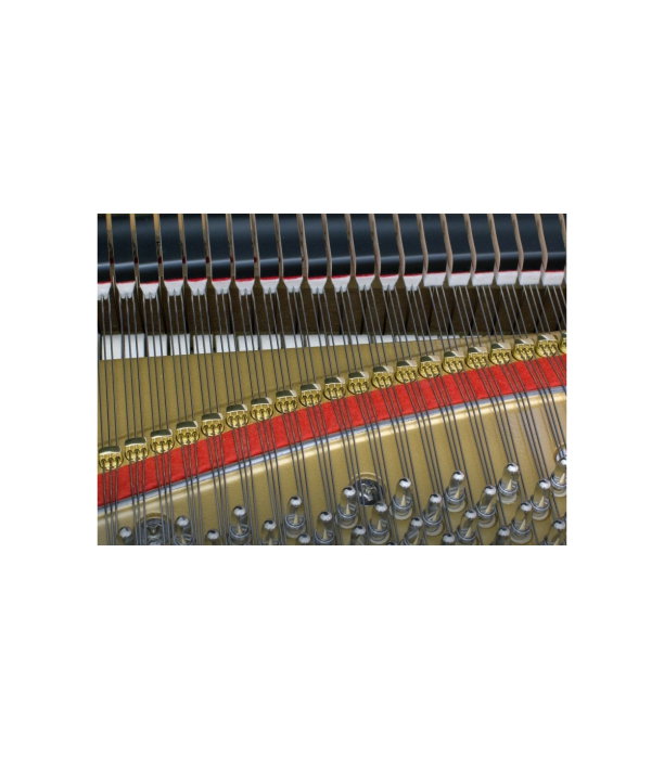 Kawai GL 50 E/P [7]