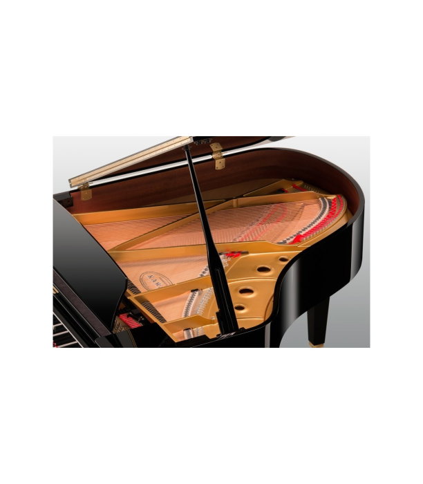 Kawai GL 50 E/P [3]
