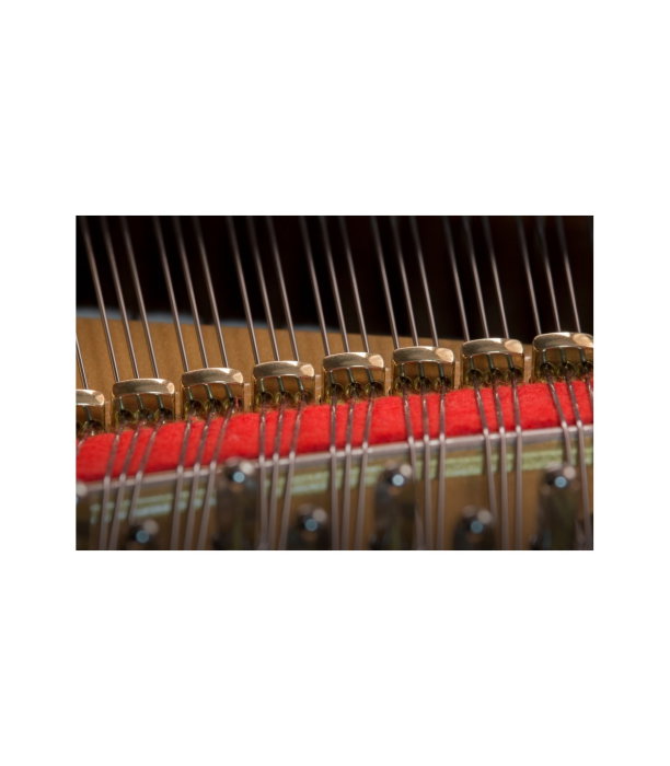 Kawai GL 50 E/P [6]
