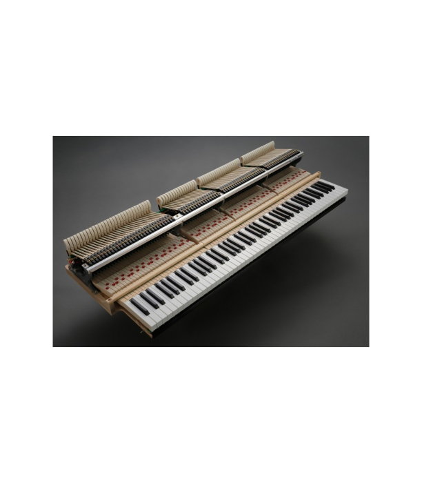 Kawai GL 50 E/P [5]