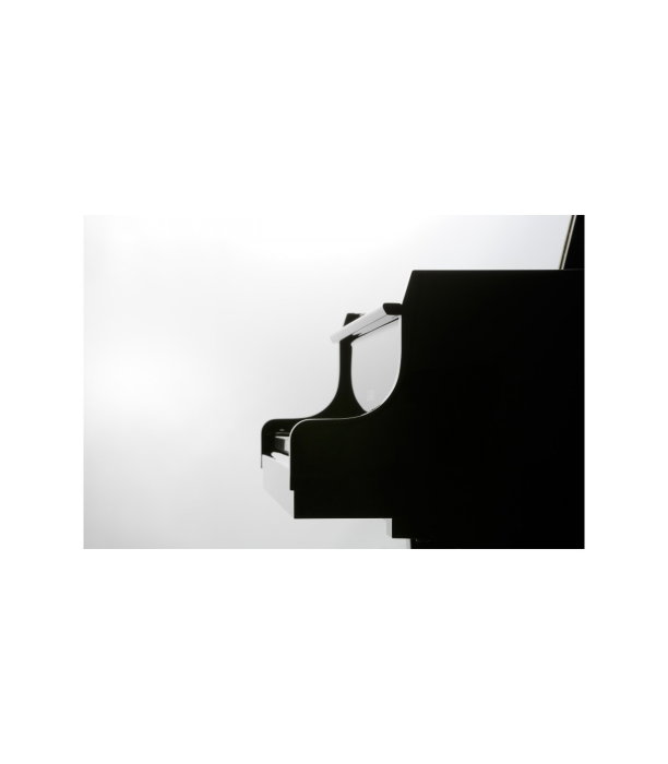 Kawai GL 50 E/P [2]