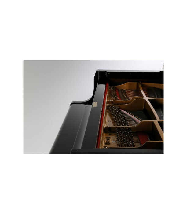 Kawai GL 50 E/P [4]