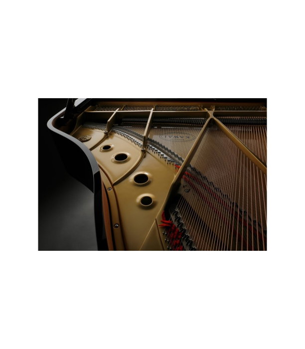 Kawai GL 50 E/P [10]
