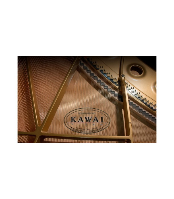 Kawai GL 50 E/P [8]