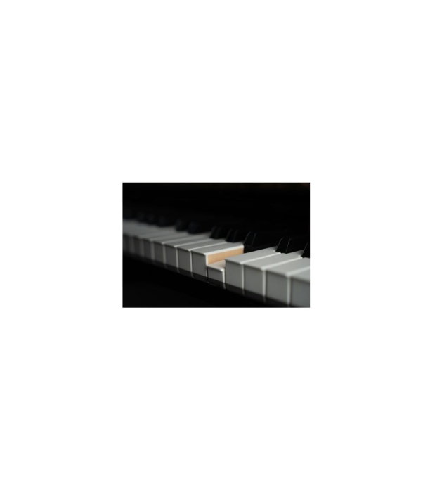 Kawai K-200 ATX 4 E/P SL [2]