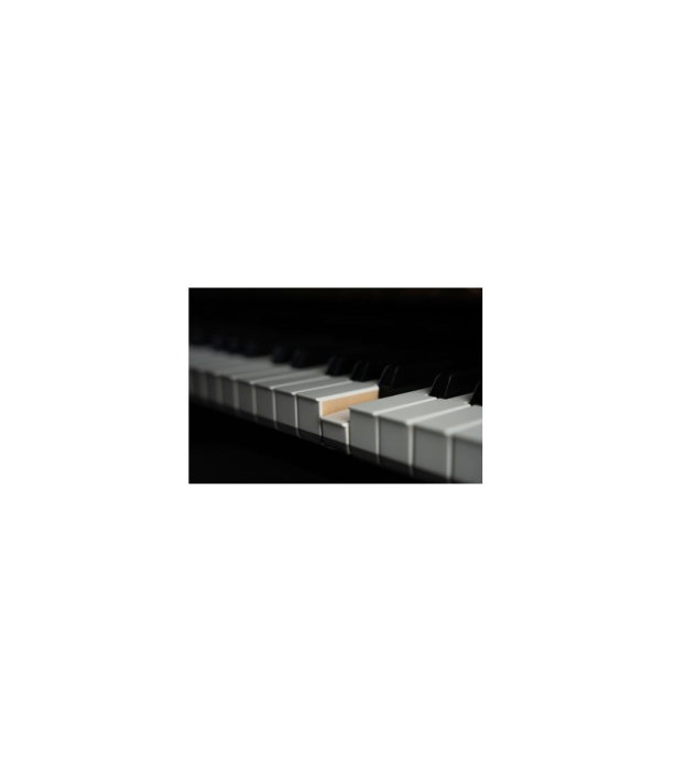 Kawai K-300 ATX 4 E/P SL [2]