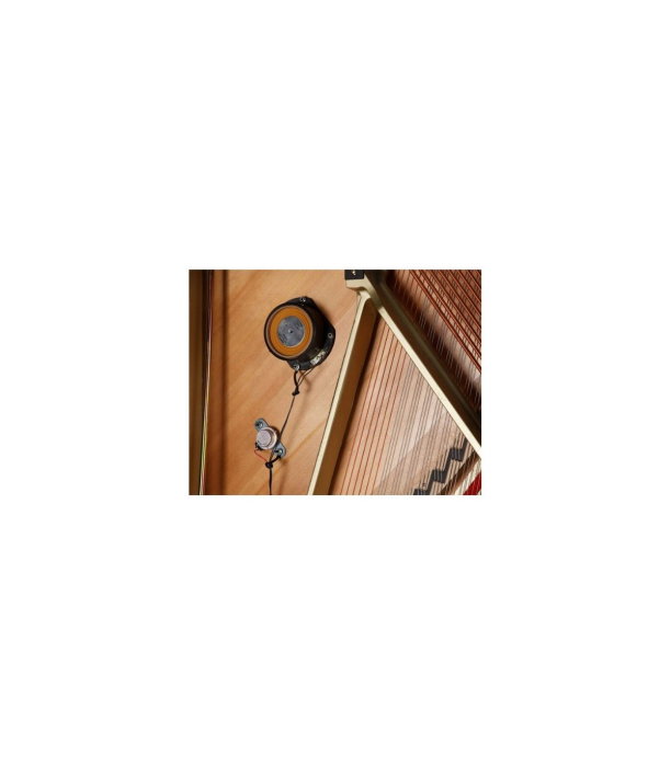 Kawai K-300 Aures 2 E/P [3]