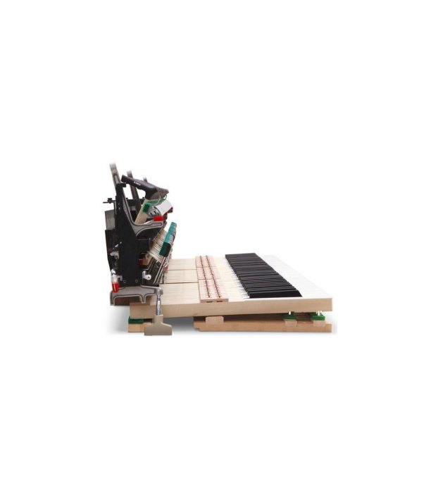 Kawai Novus NV-5S [9]