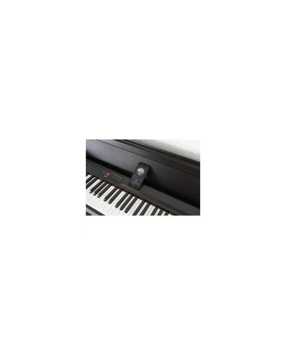 Korg C1 Black - Pian Digital [3]