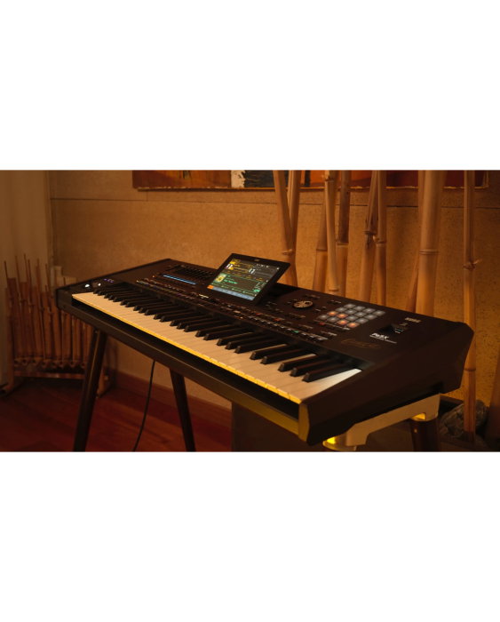 Korg Pa5X 61 Oriental - Sintetizator [6]