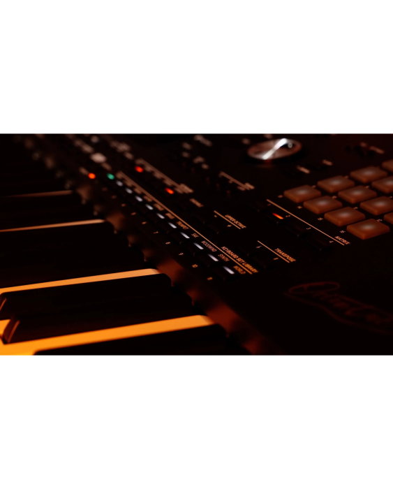 Korg Pa5X 61 Oriental - Sintetizator [15]