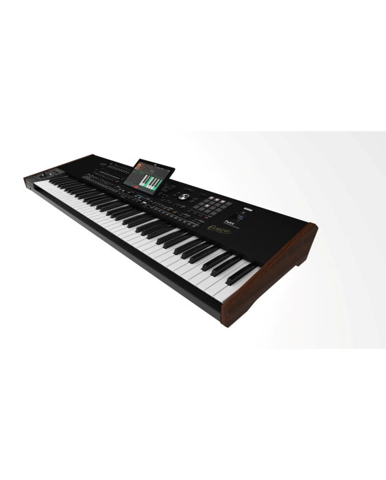 Korg Pa5X 76 Oriental - Sintetizator [8]