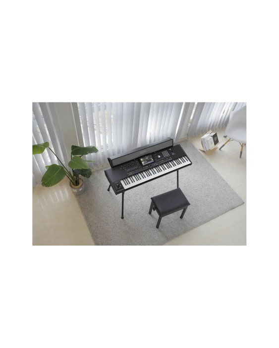Korg PAAS MK2 - Boxa suplimentara sintetizator Pa5X/4X/3X [6]