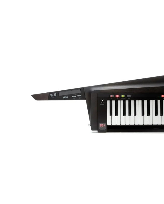 Korg RK-100S 2 Black - Keytar [2]