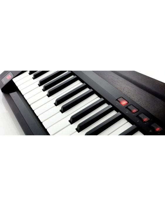 Korg RK-100S 2 Black - Keytar [3]