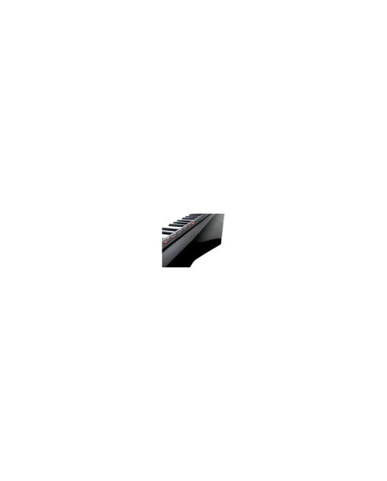 Korg RK-100S 2 Black - Keytar [4]