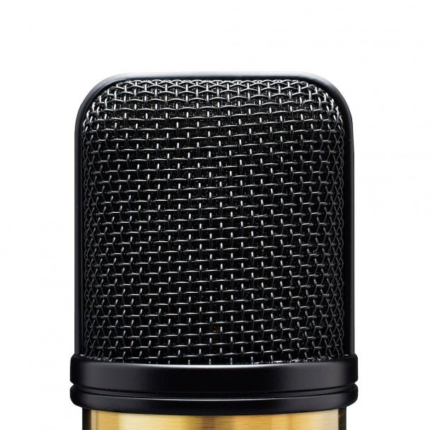 Microfon condenser true condenser Audix A231 [3]