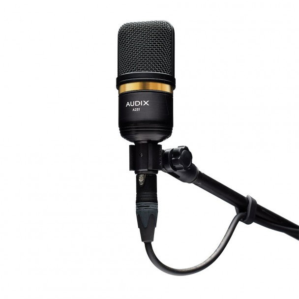 Microfon condenser true condenser Audix A231 [2]