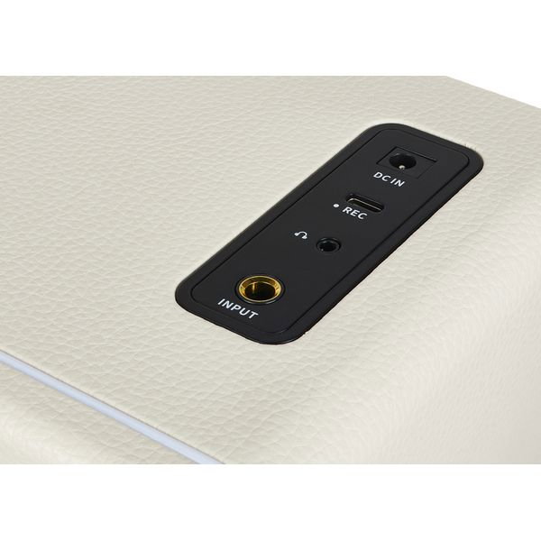 Mooer Hornet 15i Modeling Amp White [9]