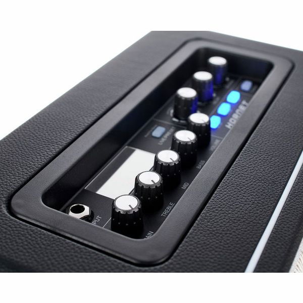 Mooer Hornet Modeling/BT Combo [3]