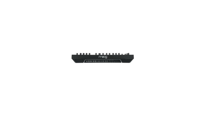 Moog Messenger [6]