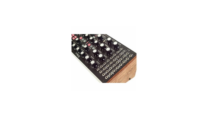 Moog Subharmonicon [8]