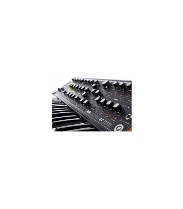 Moog Subsequent 37 [10]