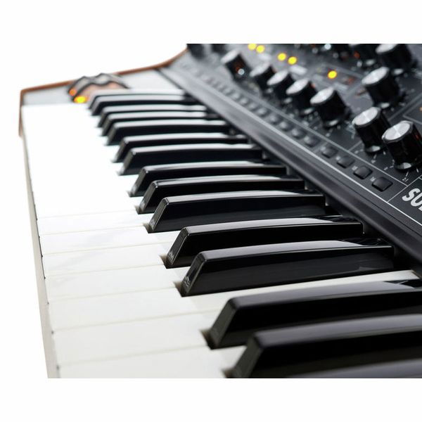 Moog Subsequent 37 [11]