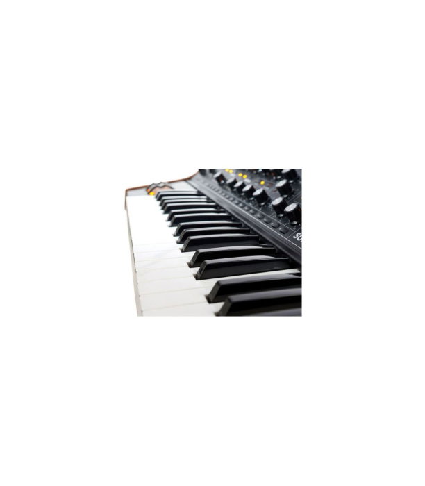 Moog Subsequent 37 [11]