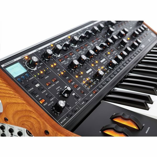 Moog Subsequent 37 [12]