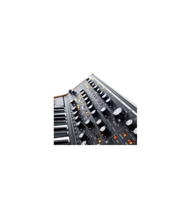 Moog Subsequent 37 [8]
