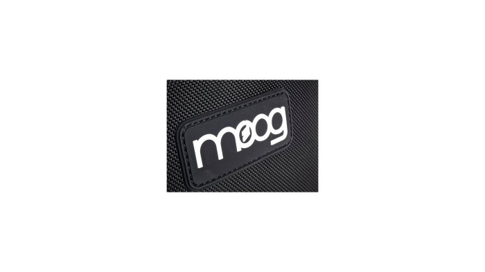 Moog Theremin SR Series Case [8]