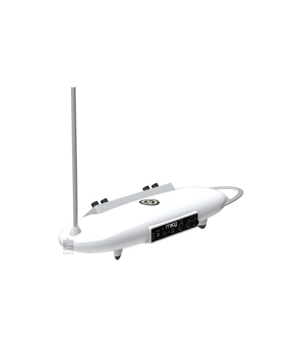 Moog Theremini [2]