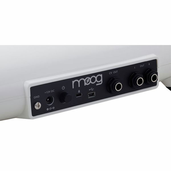 Moog Theremini [6]