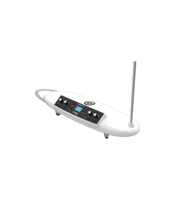 Moog Theremini [4]