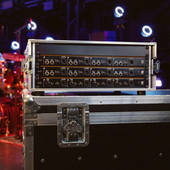 Palmer BRIDGE 4P [6]